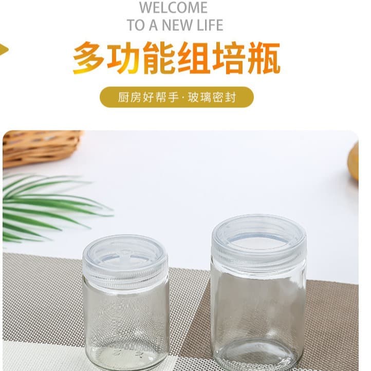 In Stock Wholesale 240ml Tissue Culture Bottle Glass Fungus Bottle Seedling Bottle Tissue Culture Bottle Breathable Transparent Cordyceps Bottle