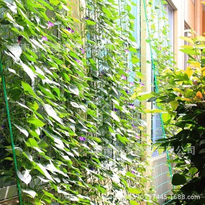 Garden Plant Trellis Net for Melons, Morning Glories, and Climbing Flowers, Ready-to-Ship Climbing Ropes