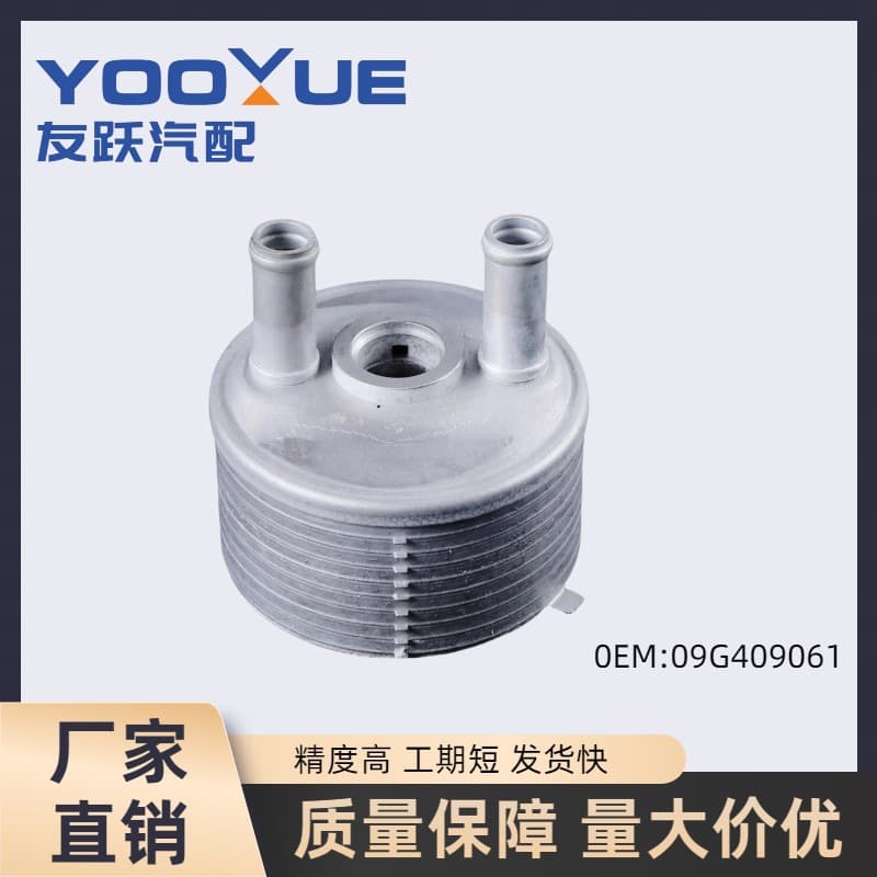 09g409061 Car Oil Cooler Radiator Oil Cooler for Volkswagen Beetle Tt