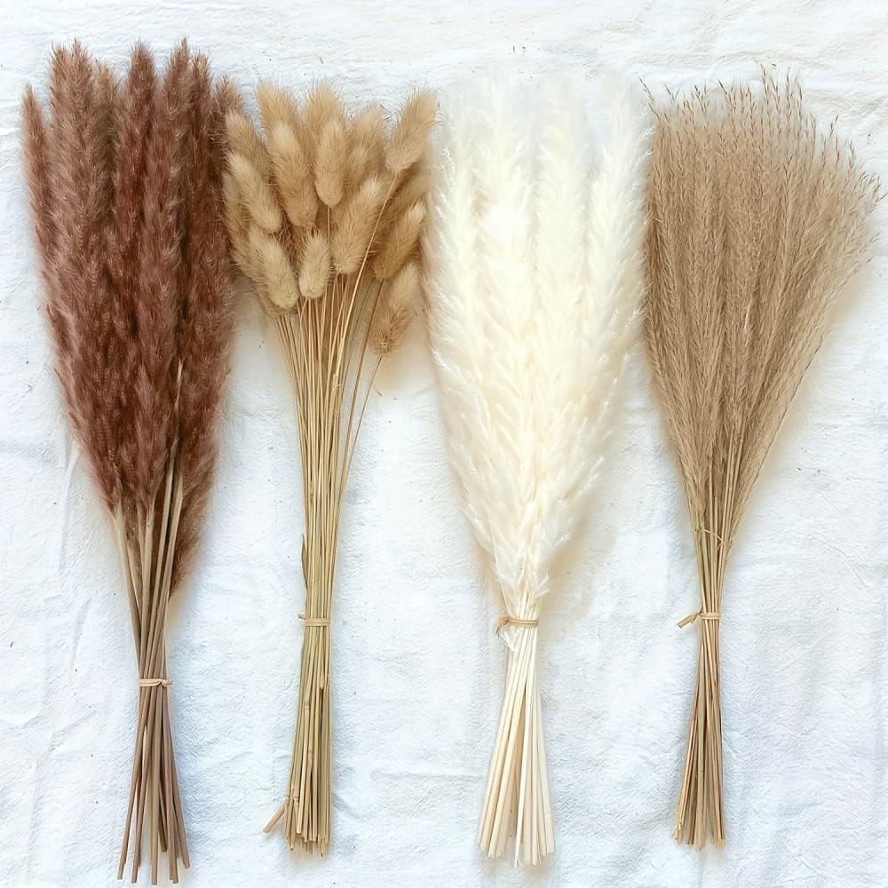 Pampas Grass Reed Bunny Tail Dried Flower Bouquet Off-White Living Room Decoration Large Pampas Reed Cross-Border Drop Shipping