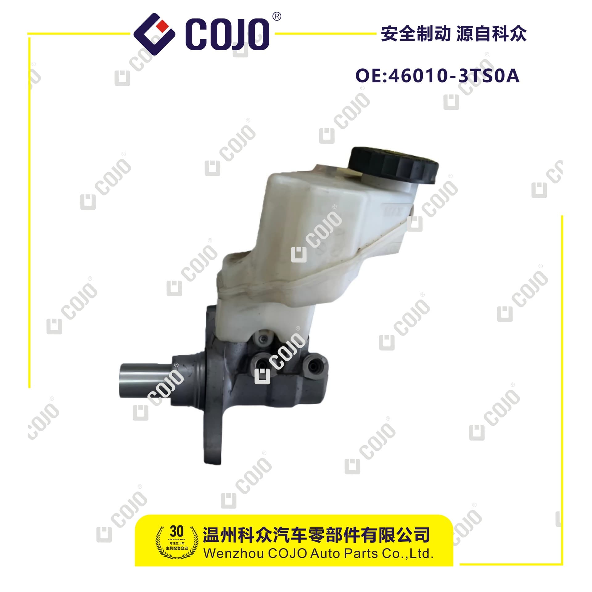 46010-3TS0A Brake Master Cylinder Fits Teana (2013-2018)