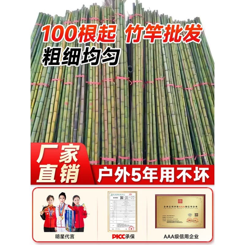 A selection of 100 bamboo poles for vegetable garden racks, vegetables, cucumbers, tomatoes, beans and climbing poles for drop shipping.