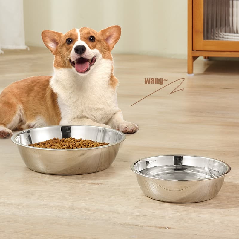 Stainless Steel Pet Bowl Cat Dog Bowl New Style Pet Supplies Inner Cat Basin Wholesale