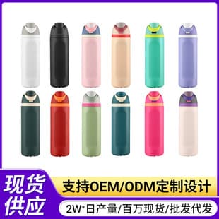 Cross-border Celebrity Same Style Double Lid Fruit Cup 304 Stainless Steel Water Bottle Sports Water Bottle with Handle Portable Wholesale