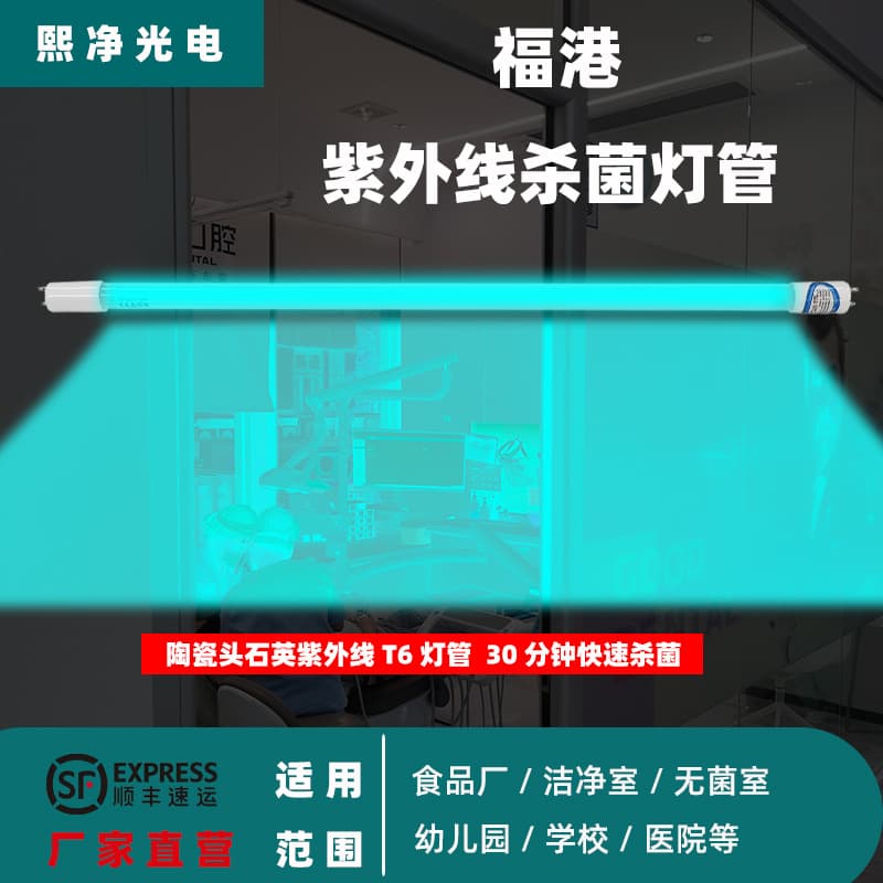 Fukang UV germicidal lamp tubes for sterile rooms, hospitals, clinics, food factories, and ozone germicidal lamp tubes