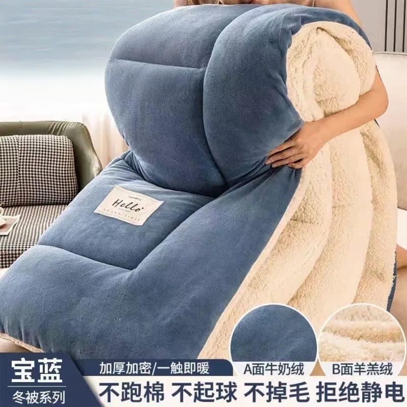 Milk Fleece Lamb Fleece Double-Sided Fleece Winter Quilt Insert, Spring/Autumn Quilt for Winter Student Dormitory Single Bed