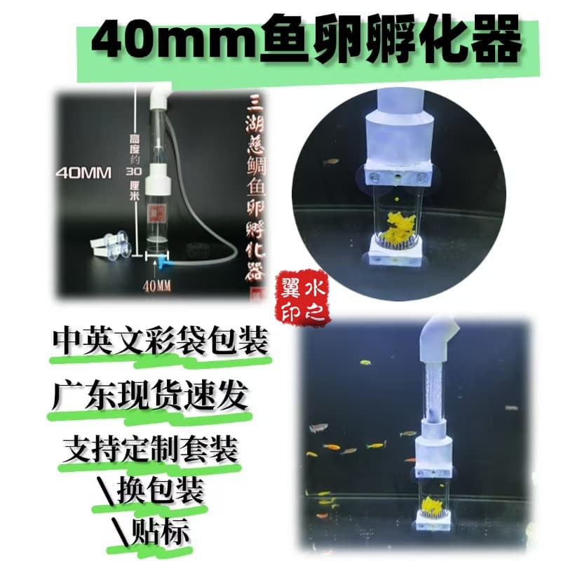 40MM Sanhu cichlid fish egg shrimp egg incubator South American special-shaped oviparous benthic fish egg incubator is in stock quickly