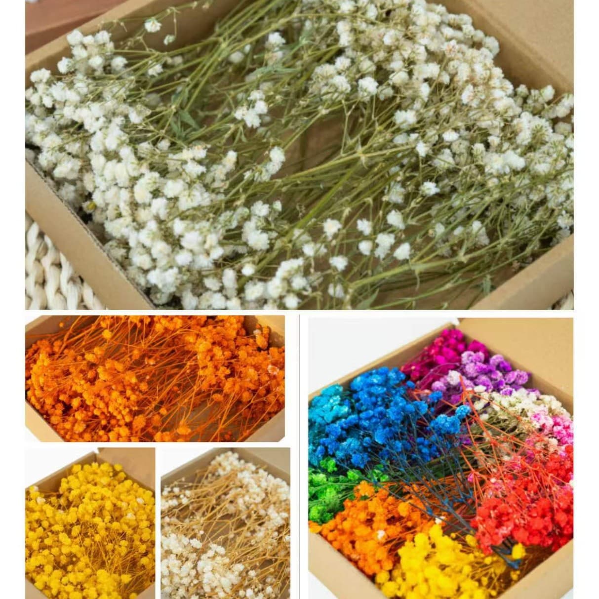 Cross-border 50/100 Pcs Mini DIY Dried Flowers Preserved Baby's Breath Wedding Holiday Party Decoration Factory Direct