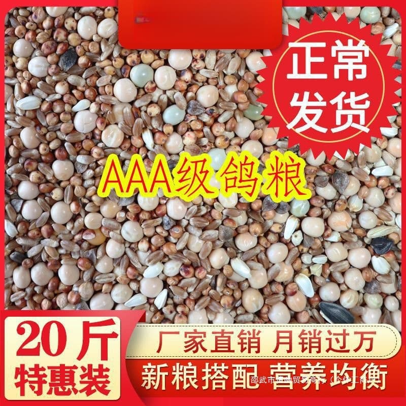 Corn-Free Pigeon Feed for Young Pigeons, Adult Pigeons, Ornamental Pigeons, Racing Pigeons, and Sand-Clearing Pigeon Feed