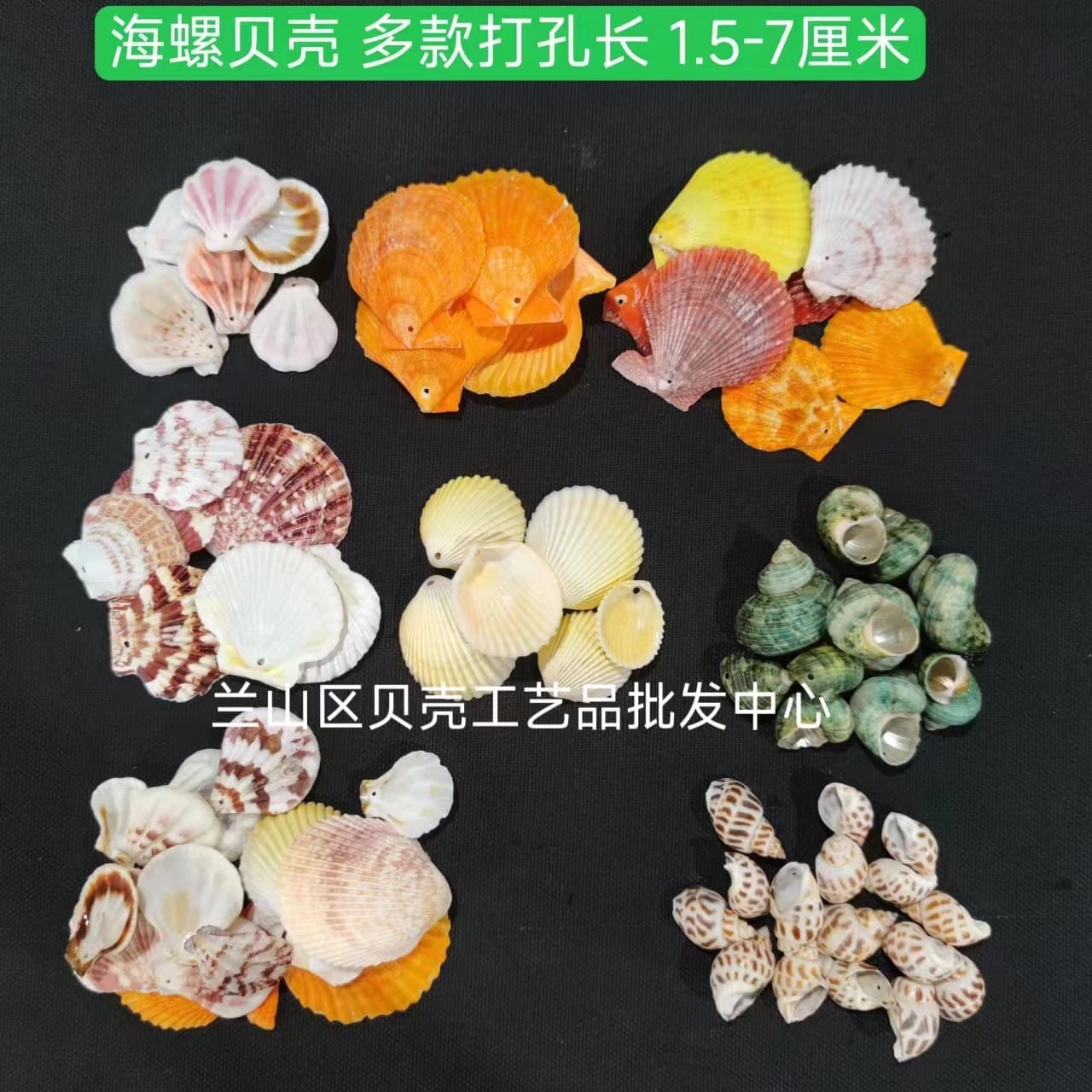 Drilled Shells, Drilled Conch, Drilled Rice Shells, Craft Making Accessories, Kindergarten Craft Supplies