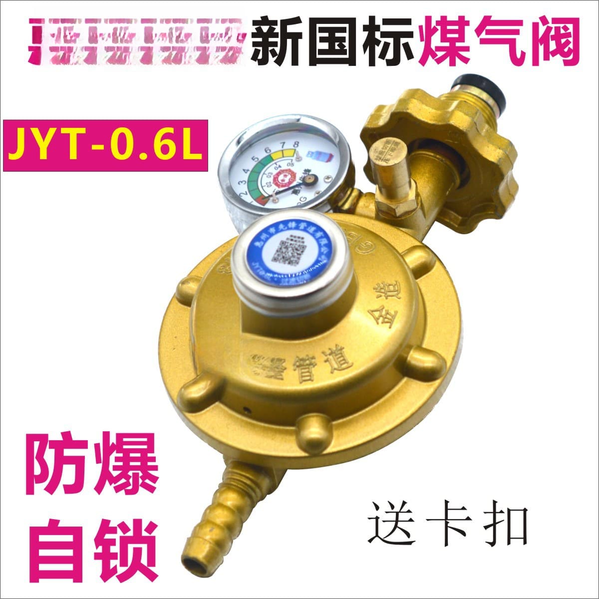Huizhou Pioneer Brand New National Standard 0.6 LPG Regulator Household Explosion-Proof Gas Stove Water Heater Low Pressure Valve Gas