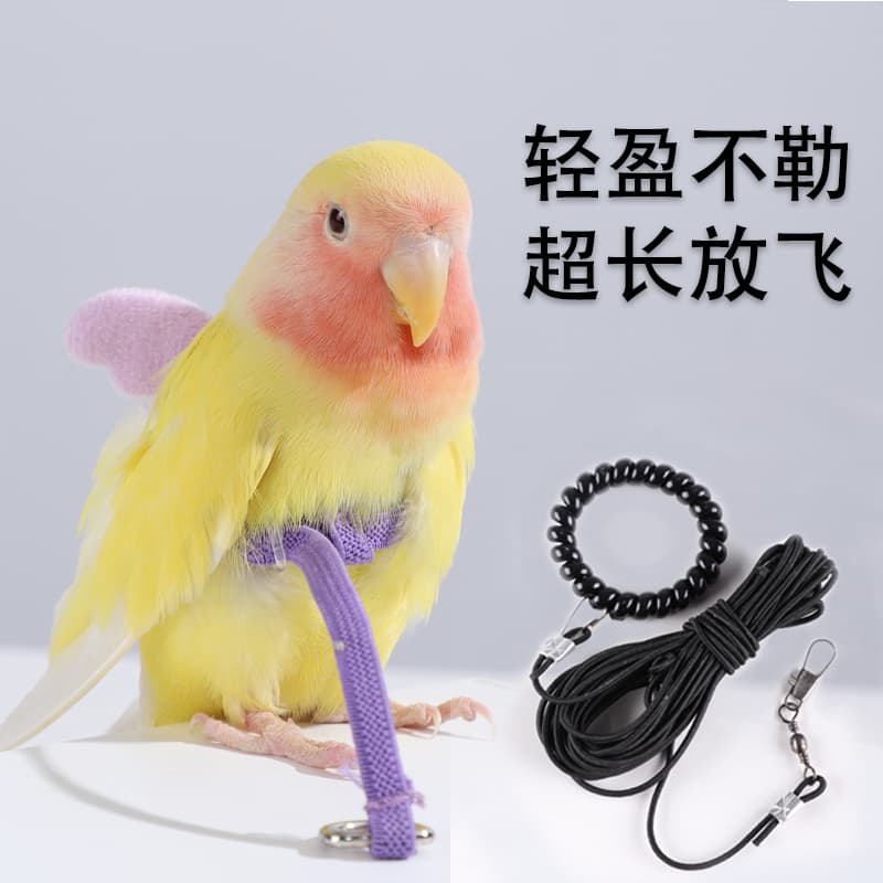 Bird Parrot Flying Rope Xuanfeng Tiger Skin Peony Traction Rope Flying Out Strap Bird Walking Artifact Supplies Toy
