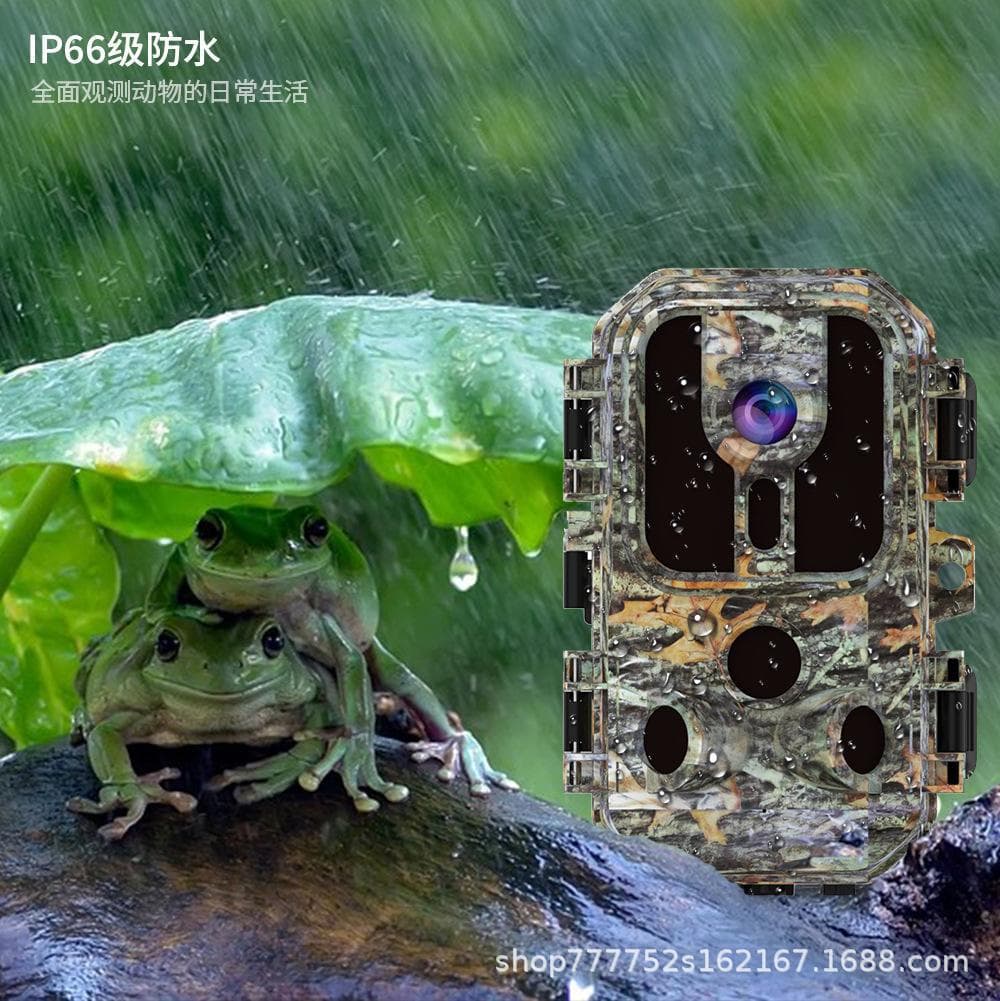 HD Infrared Camera HD Night Vision Forest Waterproof Infrared Sensor Hunting Camera Forest Surveillance DL002