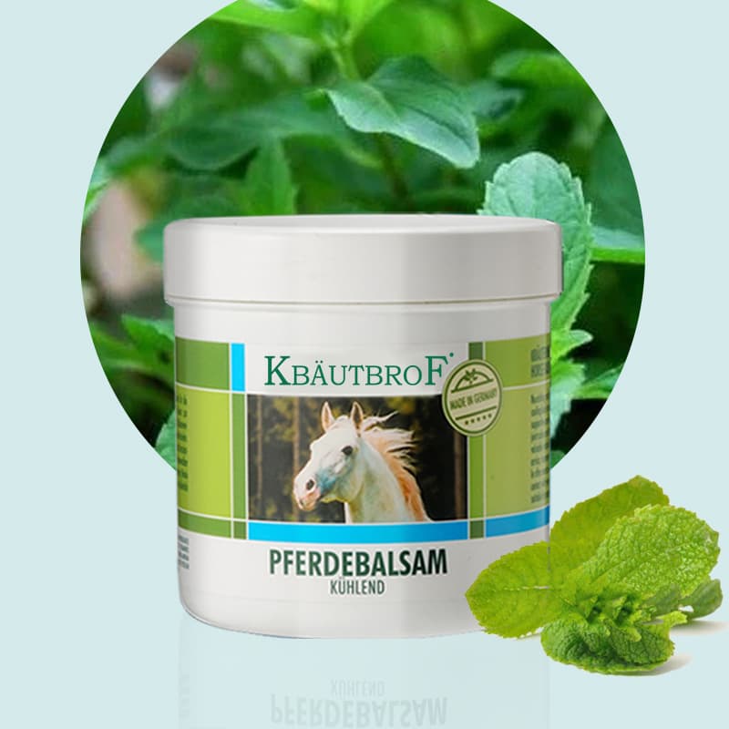 German Horse Chestnut Gel Original Large Horse Gel for Shoulder, Neck, Joint, Body Muscle, Neck, Waist, and Leg Relief Wholesale