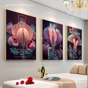 Private Poster Beauty Salon Wall Art, Postpartum Advertising Poster, Gynecological Art Painting, Female Private Room Decoration Wholesale