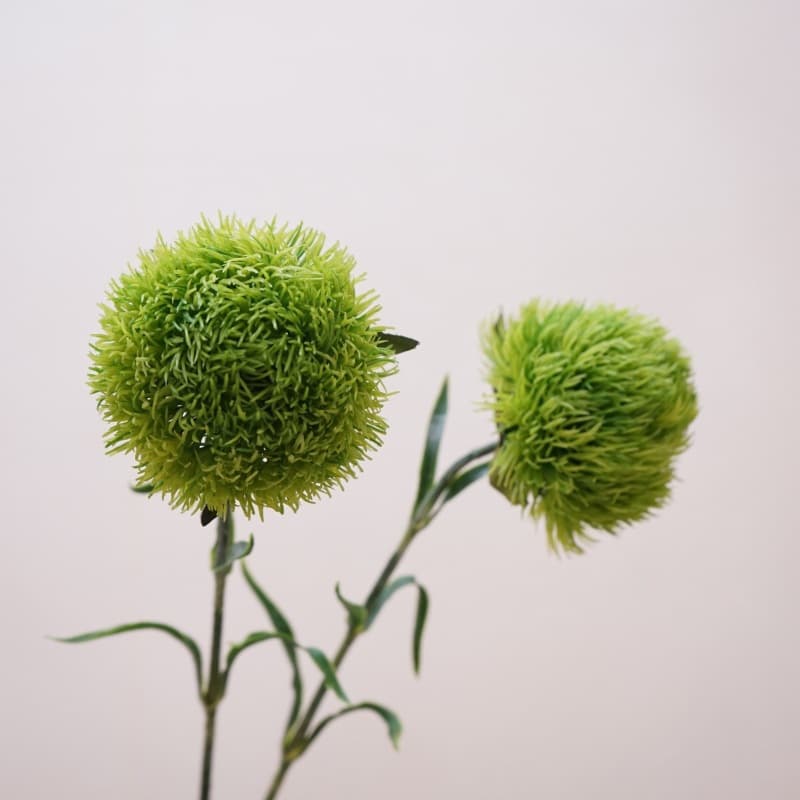 Artificial Single Stem Fuzzy Green Dianthus Home Decoration Flower Arrangement Ornament Soft Furnishing Plastic Fake Flowers Wholesale