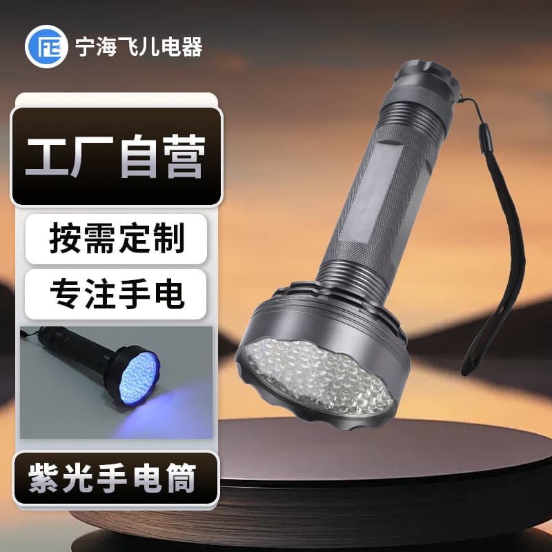UV100 Outdoor UV Flashlight Small Batch Customizable LED Bead Stain Detection Currency Verification Anti-Counterfeiting Flashlight