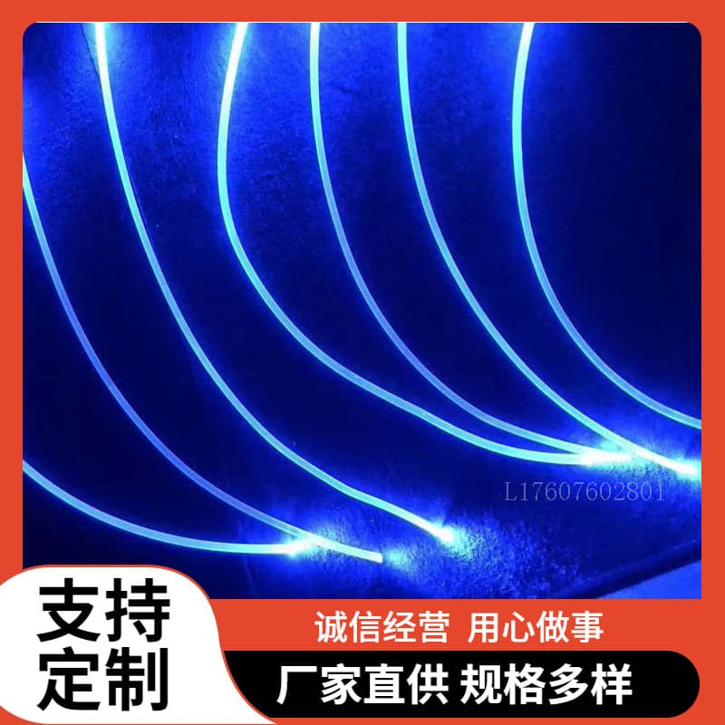 Supply of Whole Flexible Optical Fiber Decorative Light Strips with LED Soft Glow