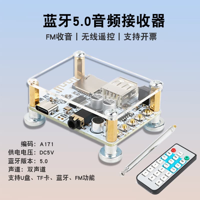 USB Flash Drive TF Card FM Player Car Audio Amplifier DIY Modification Hi-Fi Shell DC5V Bluetooth Audio Receiver