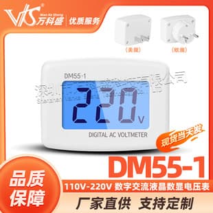 AC Meter Plug Type DM55-1 110V-220V Digital AC LCD Voltage Meter Wankesheng