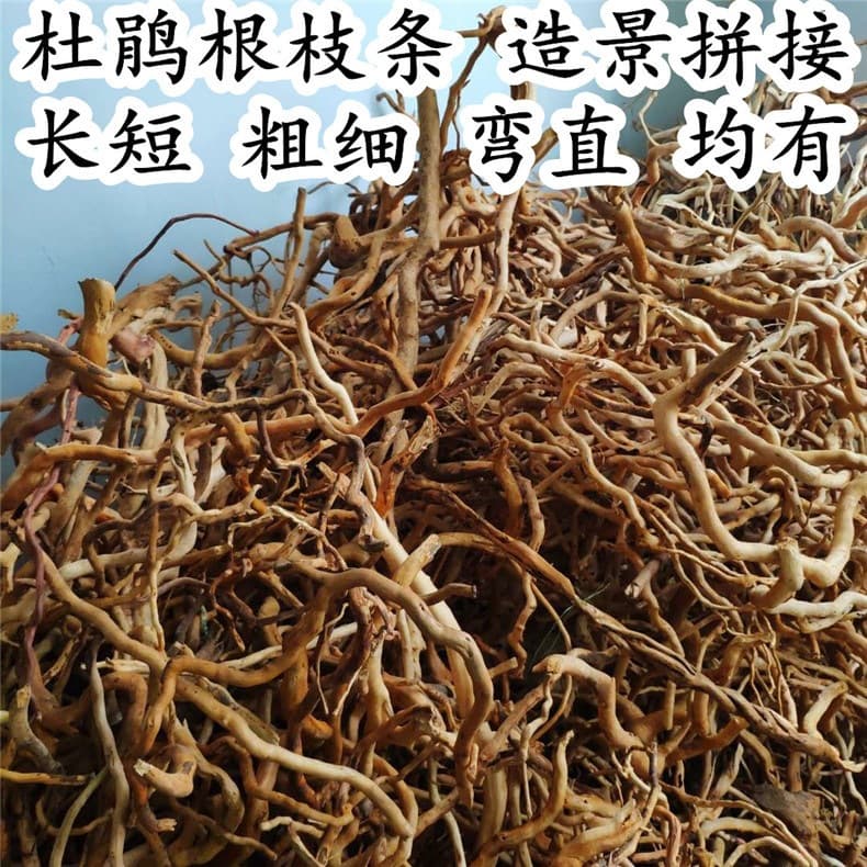 Rhododendron root boiled azalea root branch fish tank tree root South American decorative wooden frame Ryugu koi