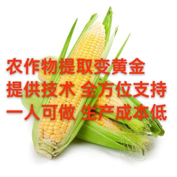 Grain→Plant protein peptides→Wealth, low cost for high value • Action phrase: Consult now