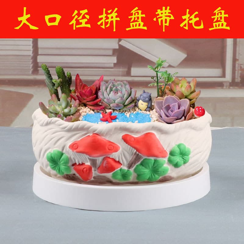 Large Ceramic Succulent Planter, Home Clearance Sale, Succulent Plant Combination Set with Tray