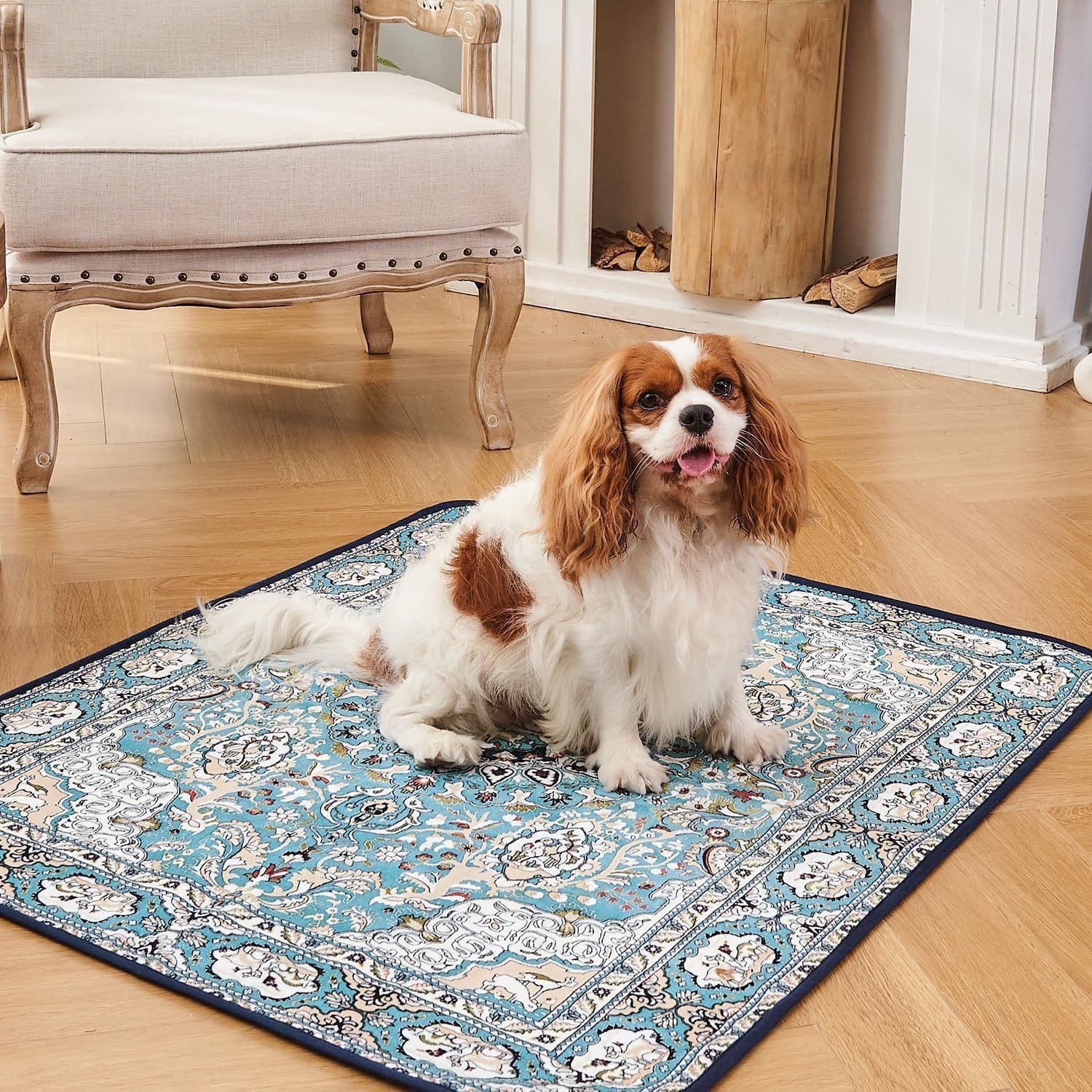 Cross-Border Bohemian Pet Floor Mat, Stain-Resistant and Easy to Clean, Crystal Velvet Carpet for Sofa and Coffee Table, Waterproof Cat and Dog Pad