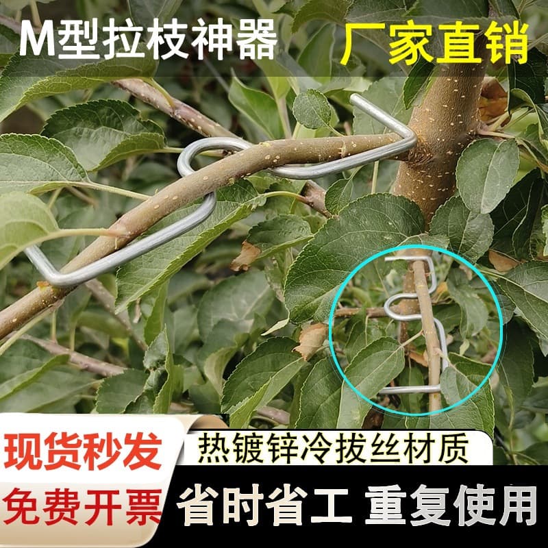 M-Shaped Branch Shaper for Fruit Trees, M-Type Branch Press, Side Branch Shaping Tool, Garden Flowers