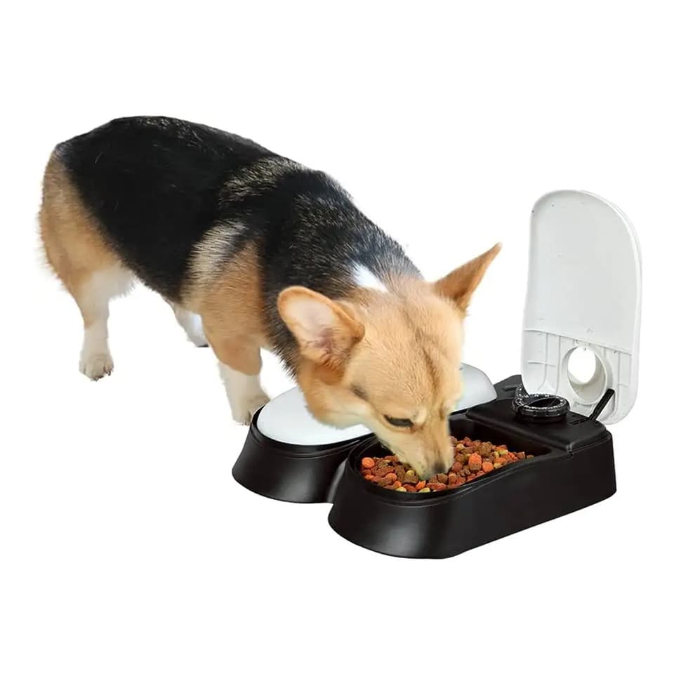 Pet Bowl Pet Supplies Intelligent Timing Cat Feeder Timing Quantity Tableware Pet Automatic Feeder