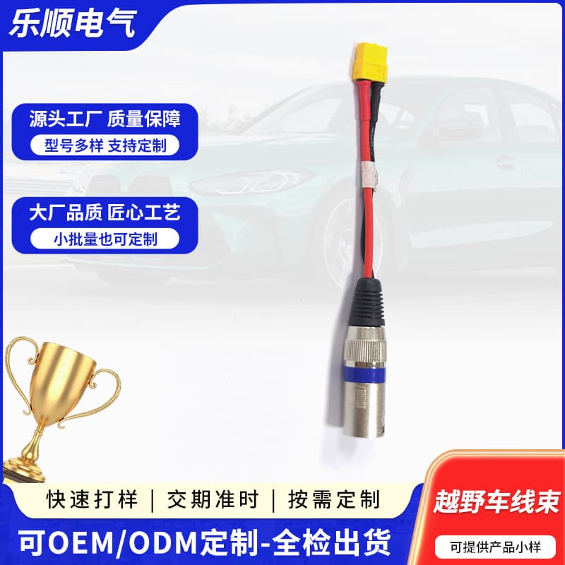 Custom Wiring Harness for Off-Road Vehicle All-Terrain Beach Car Accessories Ignition System Engine Connection Harness