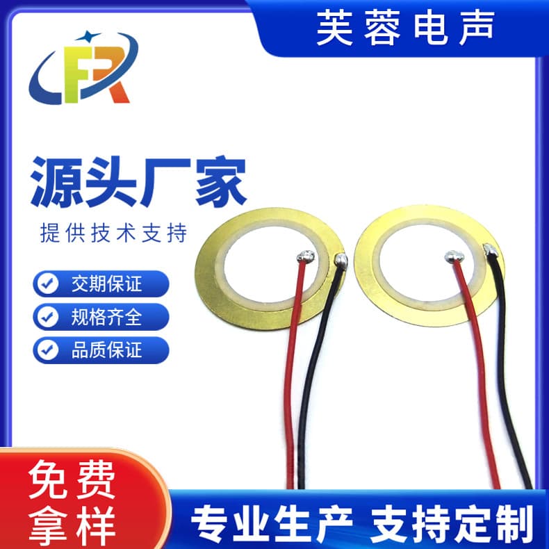20MMT Copper Welding Wire Buzzer Two-Pole Excited Piezoelectric Ceramic Chip Passive Buzzer