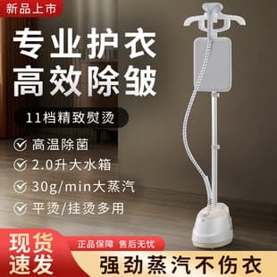 Ironing Machine Home Garment Steamer Steam Iron with Ironing Board Flat Iron Hanging Vertical Iron Cross-Border Factory Supply