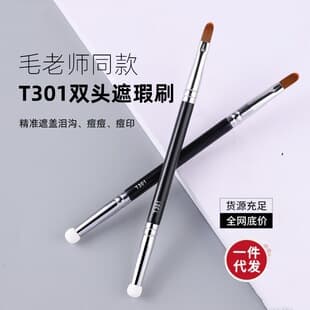 Cangzhou Makeup Brush Teacher Same Style T301 Double-ended Sponge Tip T22 Eyeliner Concealer Brush Cross-border Makeup Tool