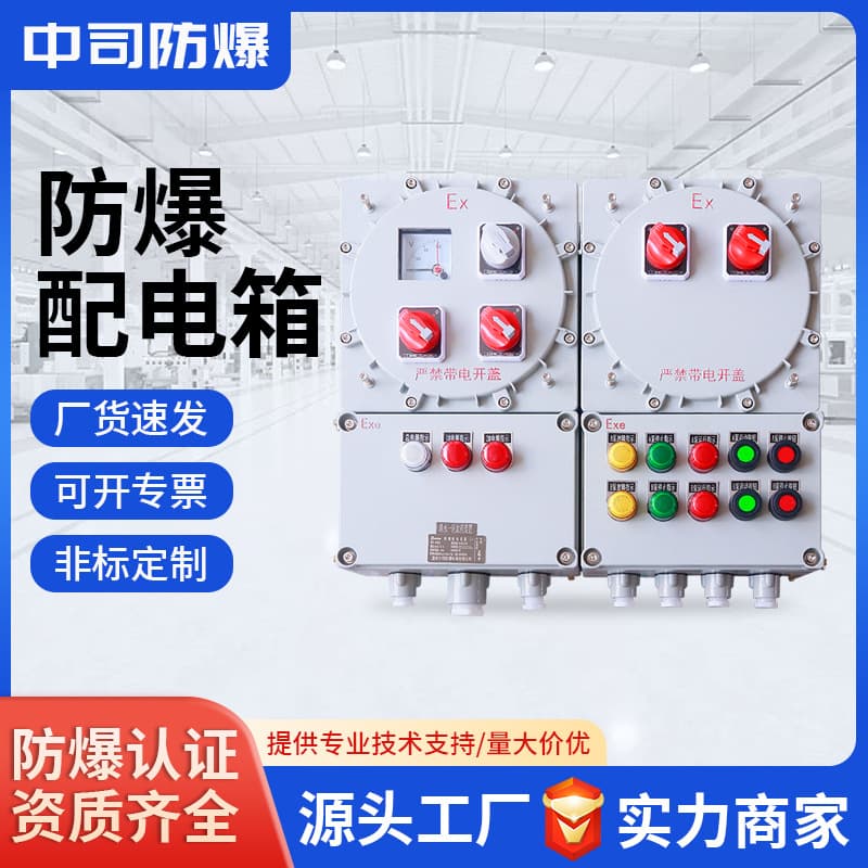 Explosion-Proof Distribution Box, Power Box, Control Cabinet, Inspection Power Socket Box, Custom Terminal Box, EX Junction Box, High Temperature Resistant