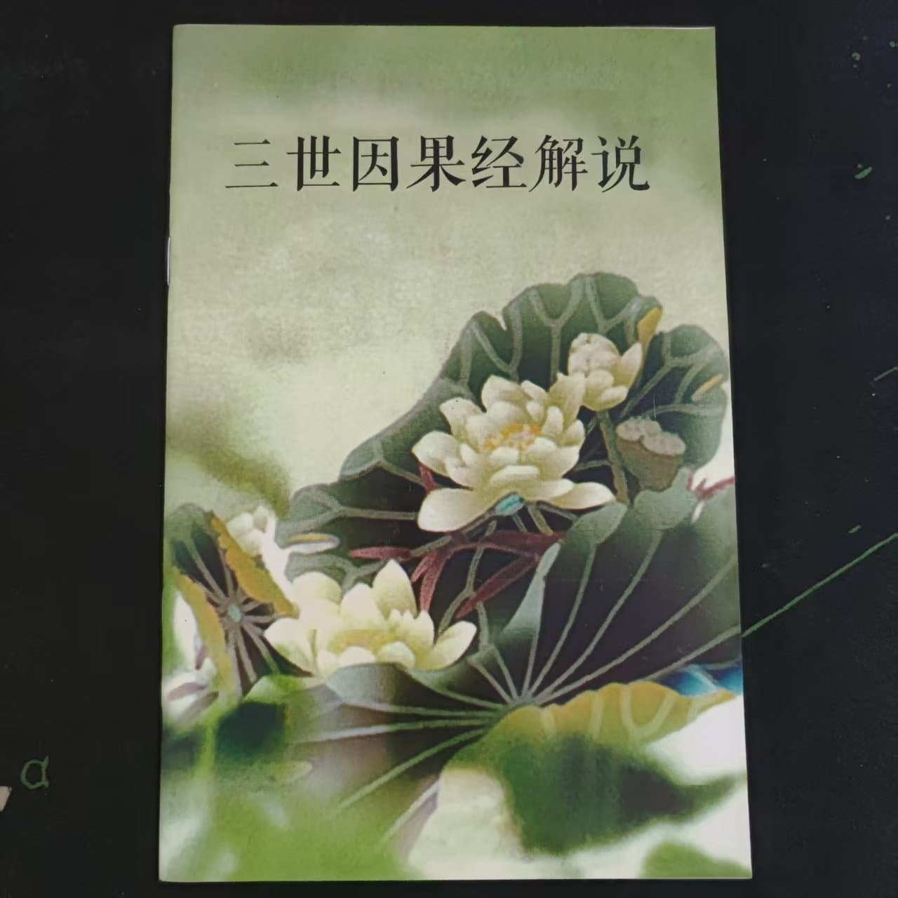 Explanation of the Sutra of Cause and Effect in Three Lifetimes (Simplified Chinese, Horizontal Layout) - Discount Available