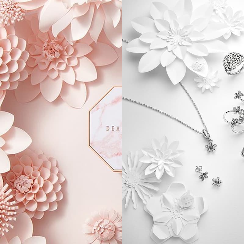 Solid Color Paper Flowers 3D Photo Prop Background Cloth Board Photography Decoration Still Life White Leaves