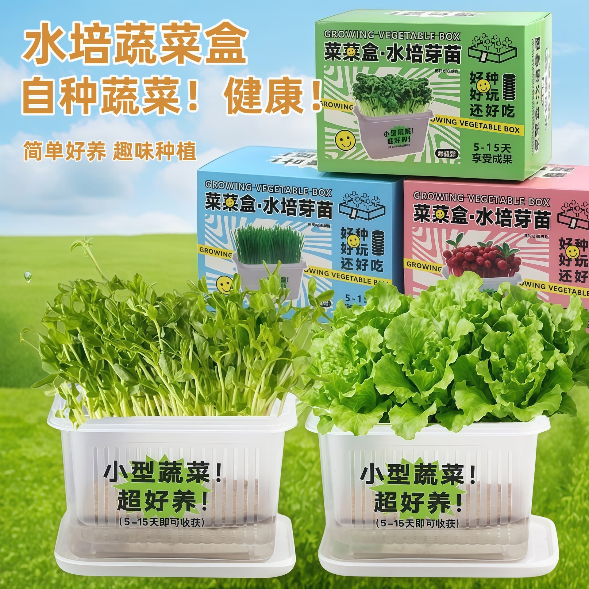 2026 Creative Vegetable Growing Box with Seeds, Children's Plant Growth Observation Gift for Elementary School Students, Whole Class Rewards