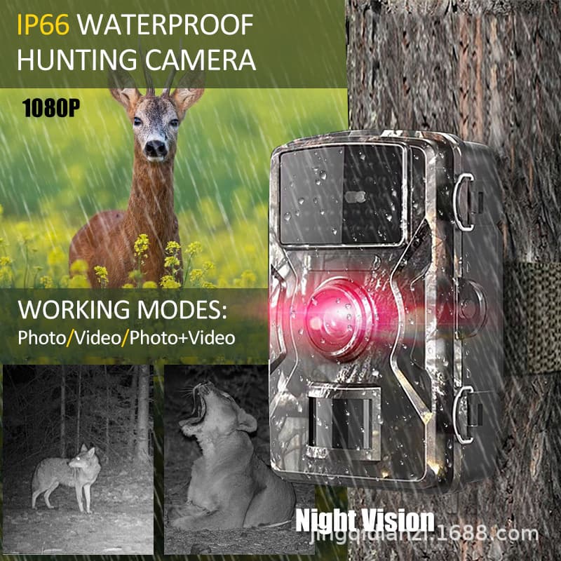 HD Wildlife Tracking Camera Outdoor Garden Infrared Hunting Camera Waterproof Surveillance Animal Field Camera