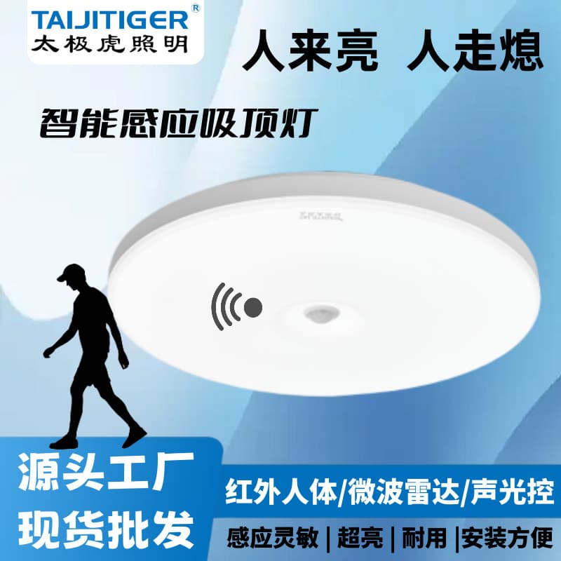Sound and Light Control Ceiling Light LED Infrared Human Body Induction Light Stairwell Hallway Entry Door Porch Radar Induction Light