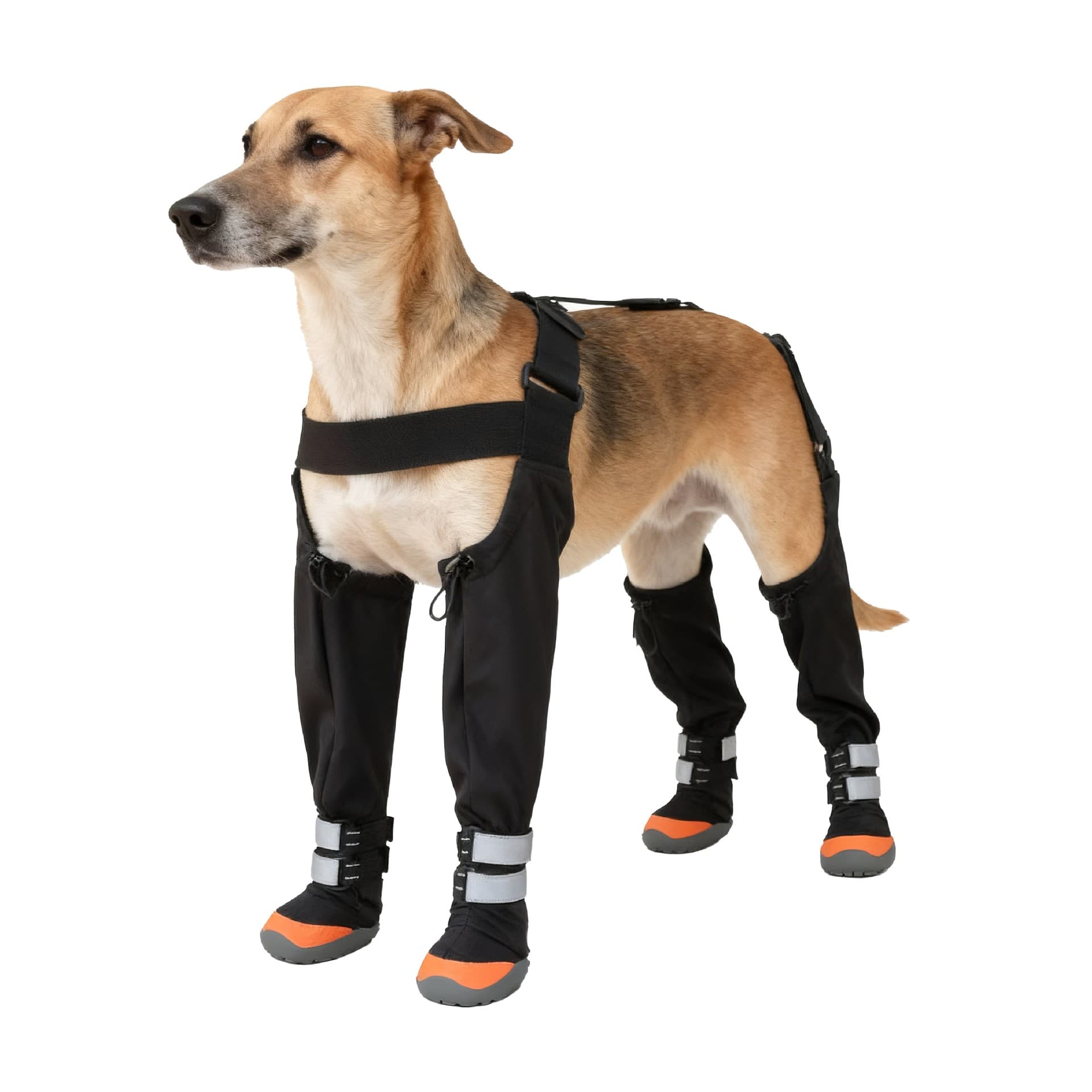 Cross-border Hot Selling Pet Shoes Anti-slip, Wear-resistant Paw Protector Dog Shoes, Essential Outdoor Dog Boots with Hard Soles