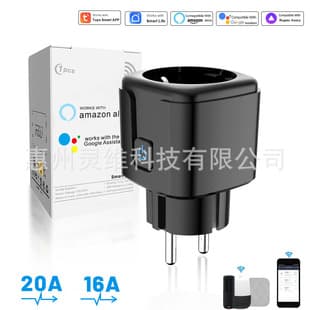 EU Standard Tuya WiFi Smart Socket Adapter Timer Voice Remote Alexa Cross-border Mobile App