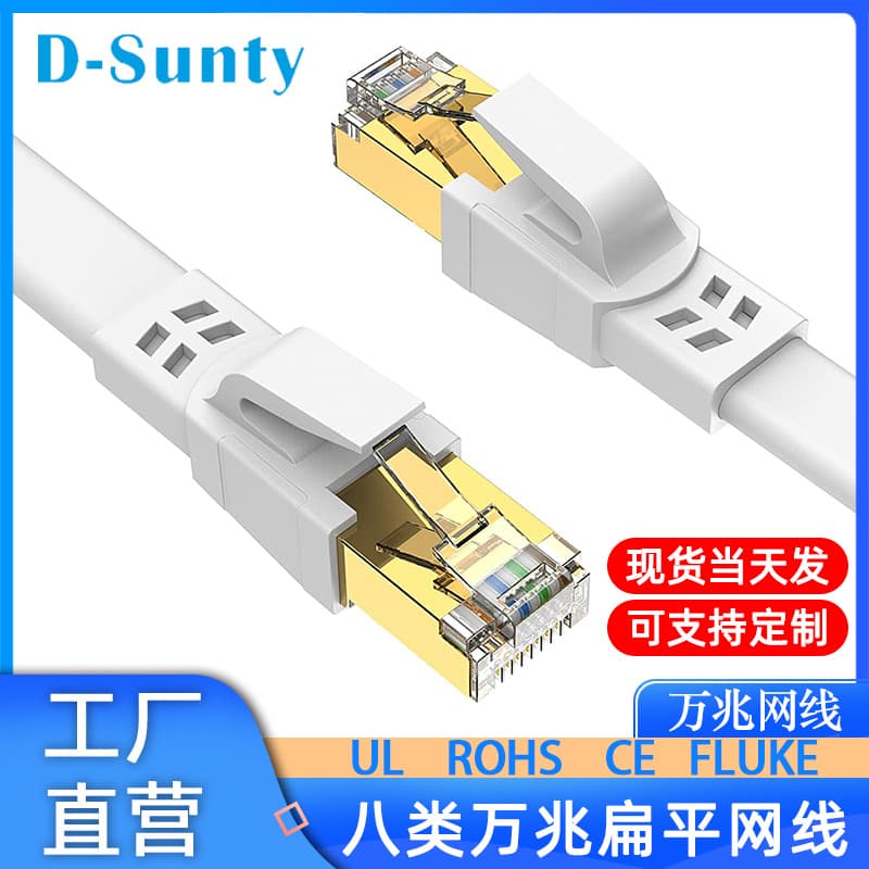 Flat Copper Cat 8 Network Cable RJ45 Screen Protected Product Pure Copper Wire Network Patch Cable For Computer Room Connection