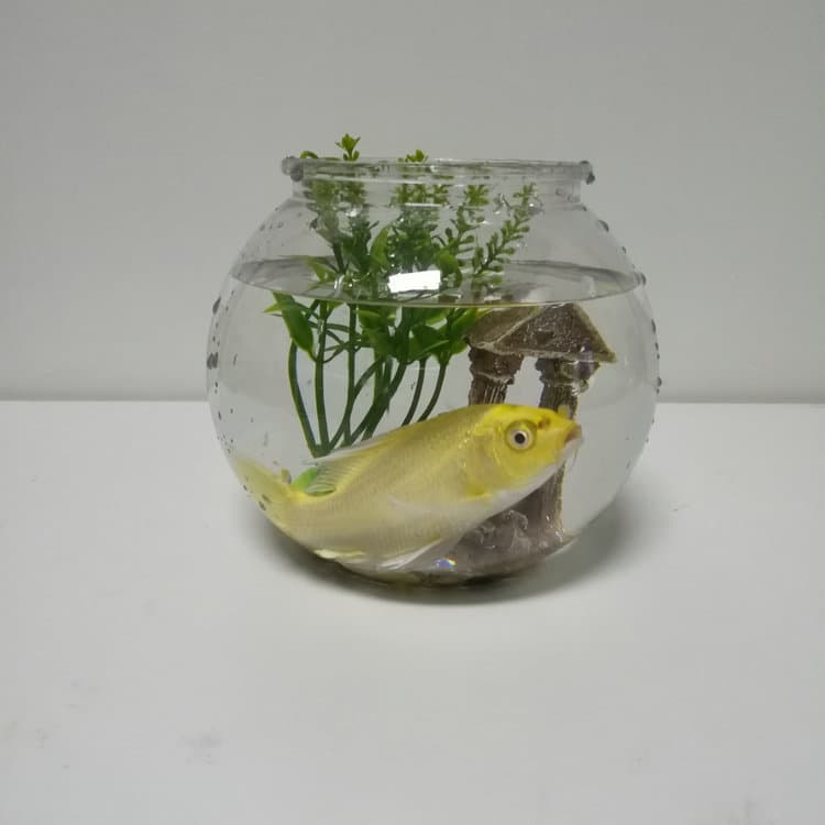 Factory Direct Wholesale 1.3L Plastic Fish Tank PET Goldfish Bowl Transparent Home Small Aquarium