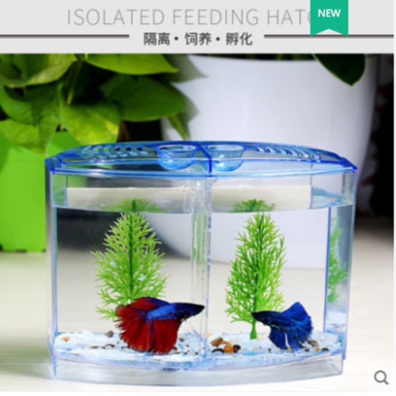 Dou Fish Isolation Box Acrylic Independent Breeding Multifunctional Ornamental Fish Incubation Box for Peacock Fish