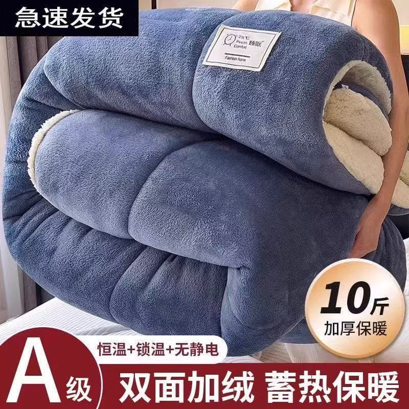 Wholesale Group Purchase of Lamb Fleece Quilts for Autumn/Winter, Milk Fleece Quilt Cores, Thick Silk Cotton Dormitory Single Warmth Heavy Blankets