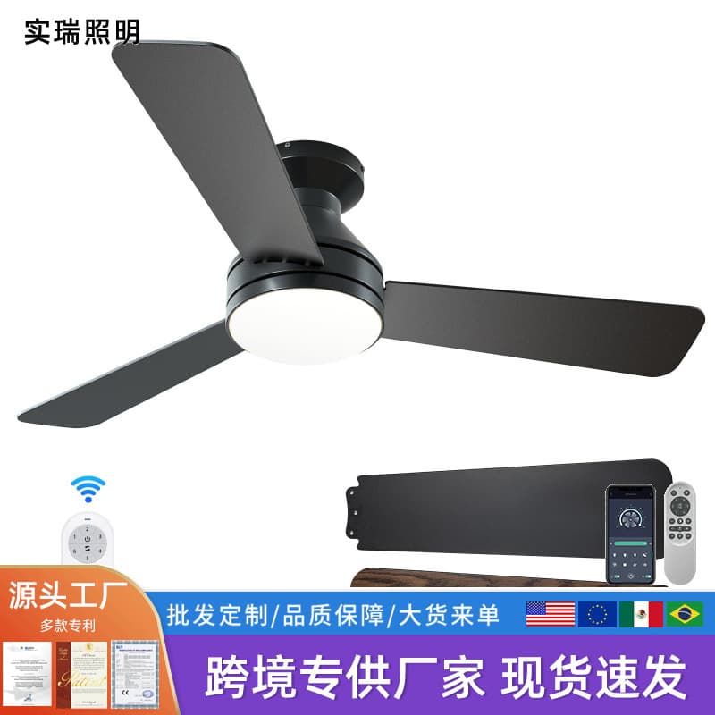 Cross-border Restaurant Living Room Ceiling Fan Light, Inverter Smart Home Silent with Fan, Ceiling Bedroom Fan Light