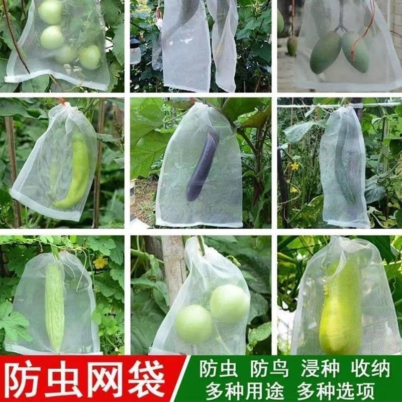 Mesh Fruit Bag Nylon Net Bag Bird Proof Insect Proof Fruit Protection Breathable Bag for Strawberries Drop Shipping