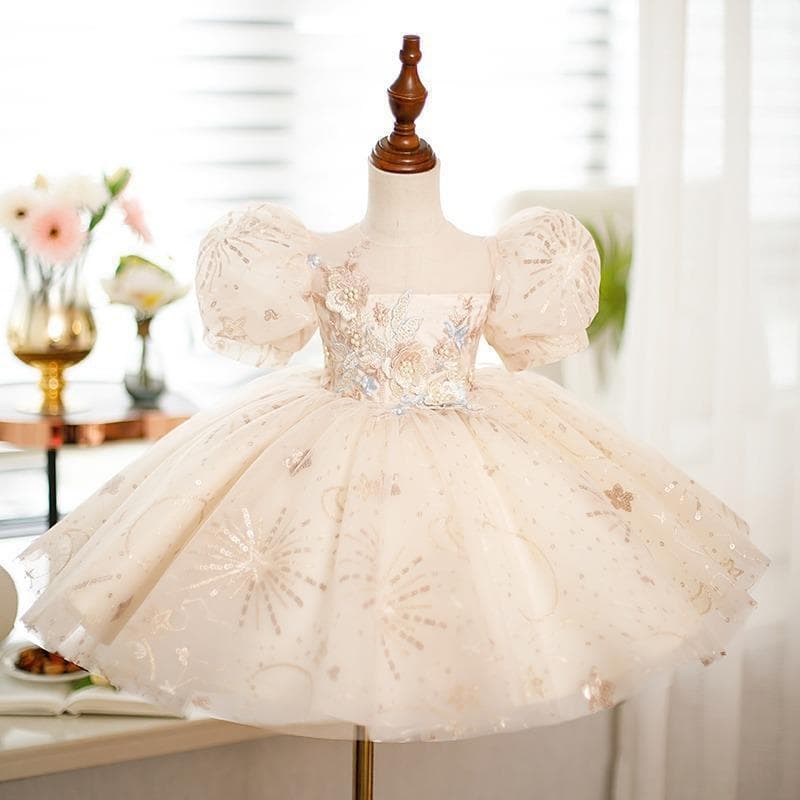 First Birthday Baby Girl Party Dress 2026 Fall New Puff Sleeve Flower Girl Wedding Gown Princess Dress Foreign Trade Warehouse Supply