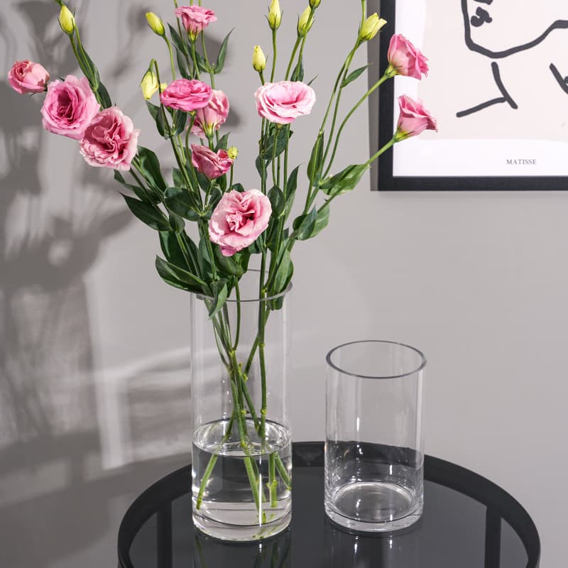 Direct Sales Lucky Bamboo Plastic Vase Premium Transparent Thickened Vase Decoration Feng Shui Hydroponic Straight Cylinder Acrylic Vase